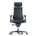 Omni Dynamiczne Krzesło Ergonomiczne